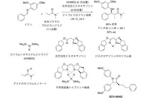 アミドやエステルをそのまま原料として使うことができる触媒系を東大が開発