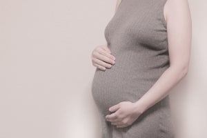 妊娠期の運動が子供の将来の肥満リスクを低減する仕組みを東北大などが解明