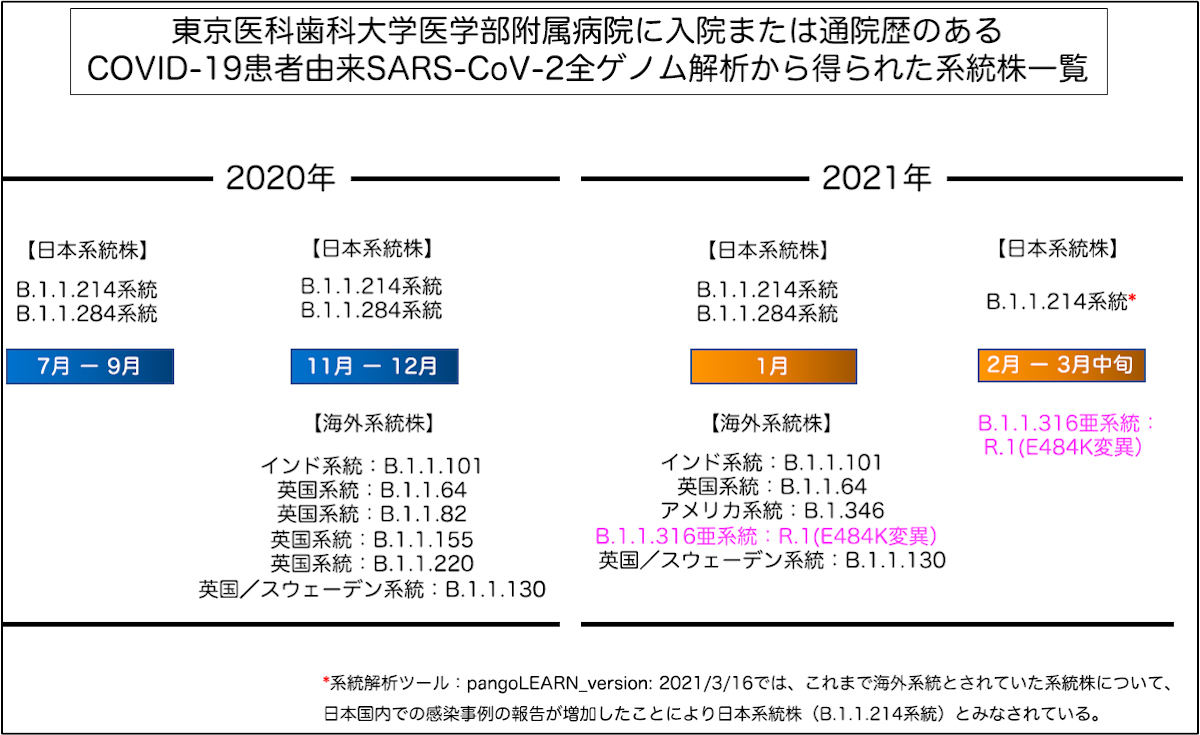 新型コロナ