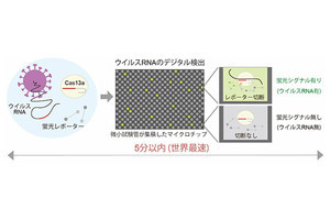 新型コロナウイルスRNAを1分子レベルで5分以内に検出する技術を理研が開発