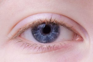 千葉工大、瞳孔径から「注意欠如多動症(ADHD)」の特徴を推定する技術を開発