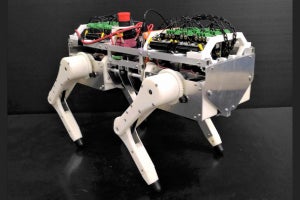 阪大、ネコなどの動物の神経や筋肉の特性を再現可能な四脚ロボットを開発
