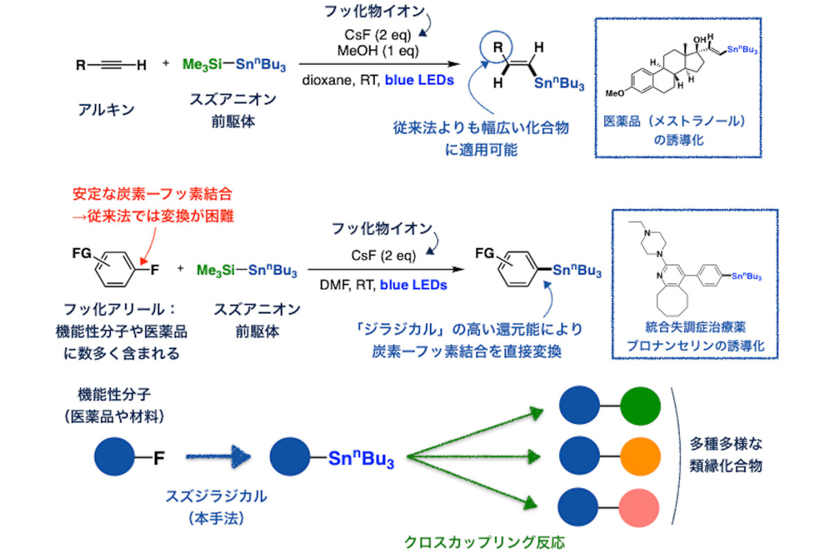 東工大、有機スズアニオンを光励起させて新たなスズ化学種への 東工大、有機スズアニオンを光励起させて新たなスズ化学種への