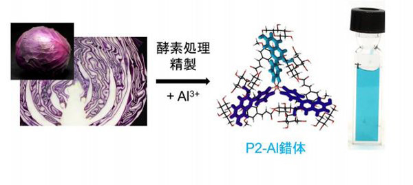 「P2-A1錯体」