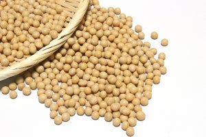 愛媛大、妊娠中の大豆摂取が子どもの多動問題に予防的であることを確認