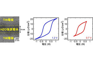 東大など、低動作電圧かつ長寿命の酸化ハフニウム系強誘電体メモリを開発