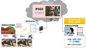 NTT東日本ら、IoT活用で豚飼育環境監視システムの実証実験開始