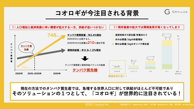 コオロギ昆虫食が注目される理由