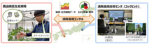 全農とNTT東、施設園芸生産者向けに「遠隔栽培指導センタ」開設し実証開始