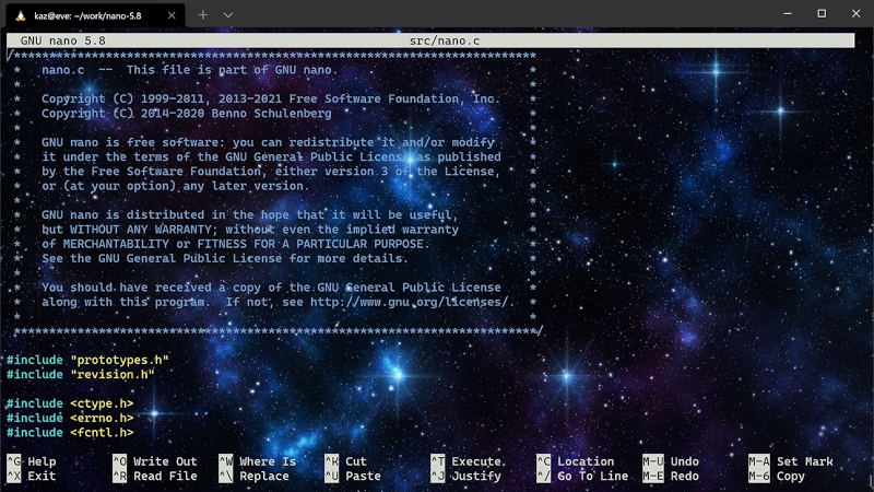 WSL 2上で動作するGNU nano 5.8