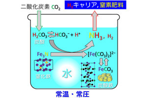 都市大、常温・常圧・触媒なしで窒化鉄と炭酸水からアンモニア合成に成功