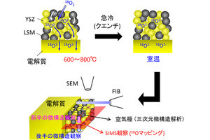 東工大など、SOFCの電極の反応場と三次元微細構造を同時に観察する技術を開発