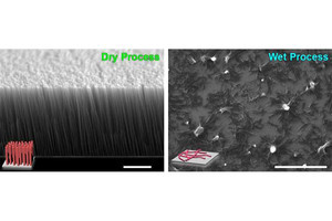 京大など、直径の100倍の長さのナノワイヤを直立させることに成功