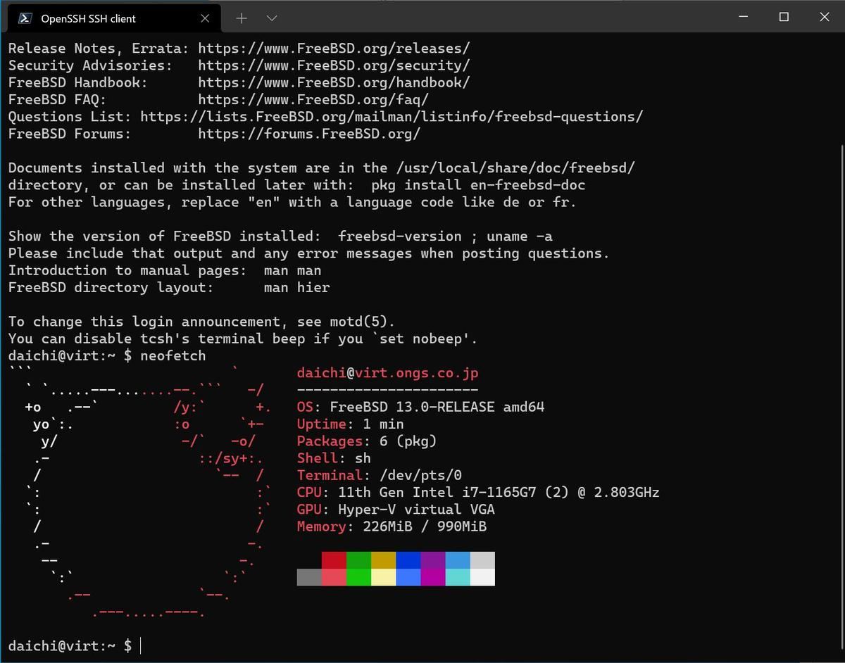Windows Terminal経由でFreeBSDを使っているようす