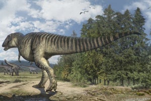 「のび太」由来の命名、新恐竜“ノビタイ”の足跡化石レプリカが科博で公開