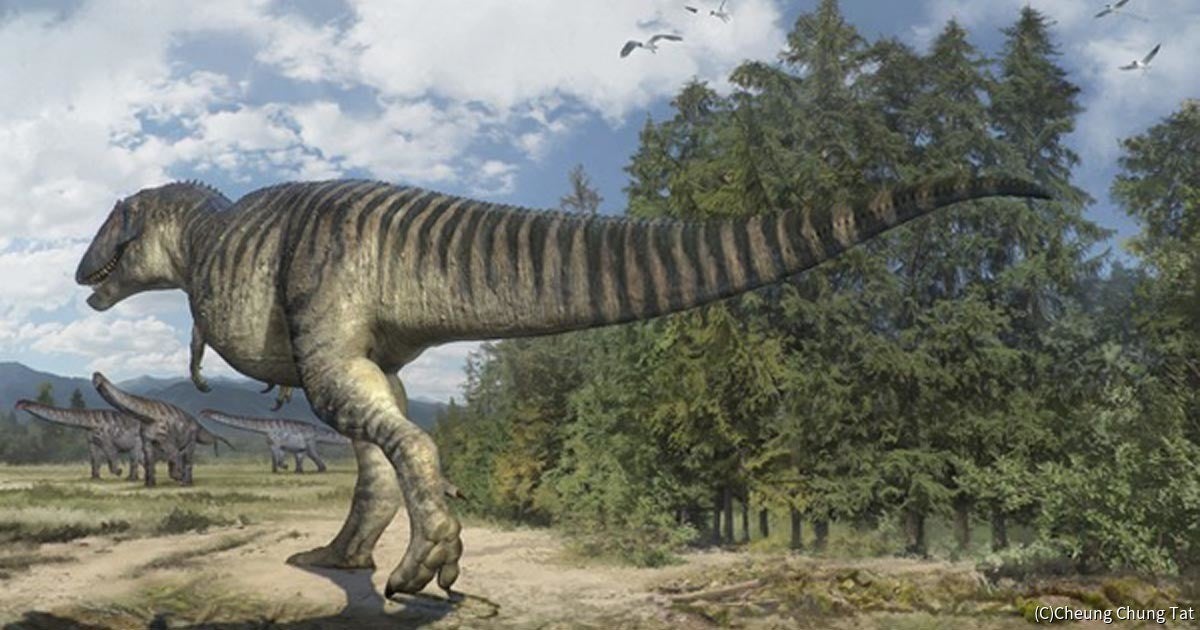 のび太 由来の命名 新恐竜 ノビタイ の足跡化石レプリカが科博で公開 Tech テックプラス