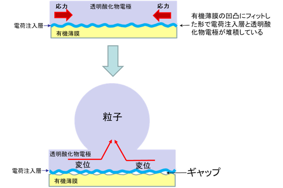 透明有機デバイス