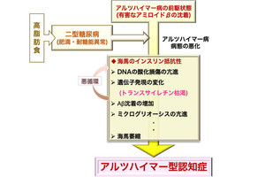 糖尿病がアルツハイマー病を悪化させることを九大が確認