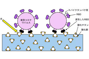 東大など、新型コロナを含む複数のウイルスに効果のあるナノ光触媒を開発