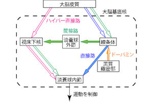 従来説を覆すパーキンソン病を引き起こす神経メカニズム、生理研などが解明