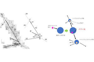 岐阜大など、「グザイマイナス粒子」を含む超原子核「グザイ核」の観測に成功