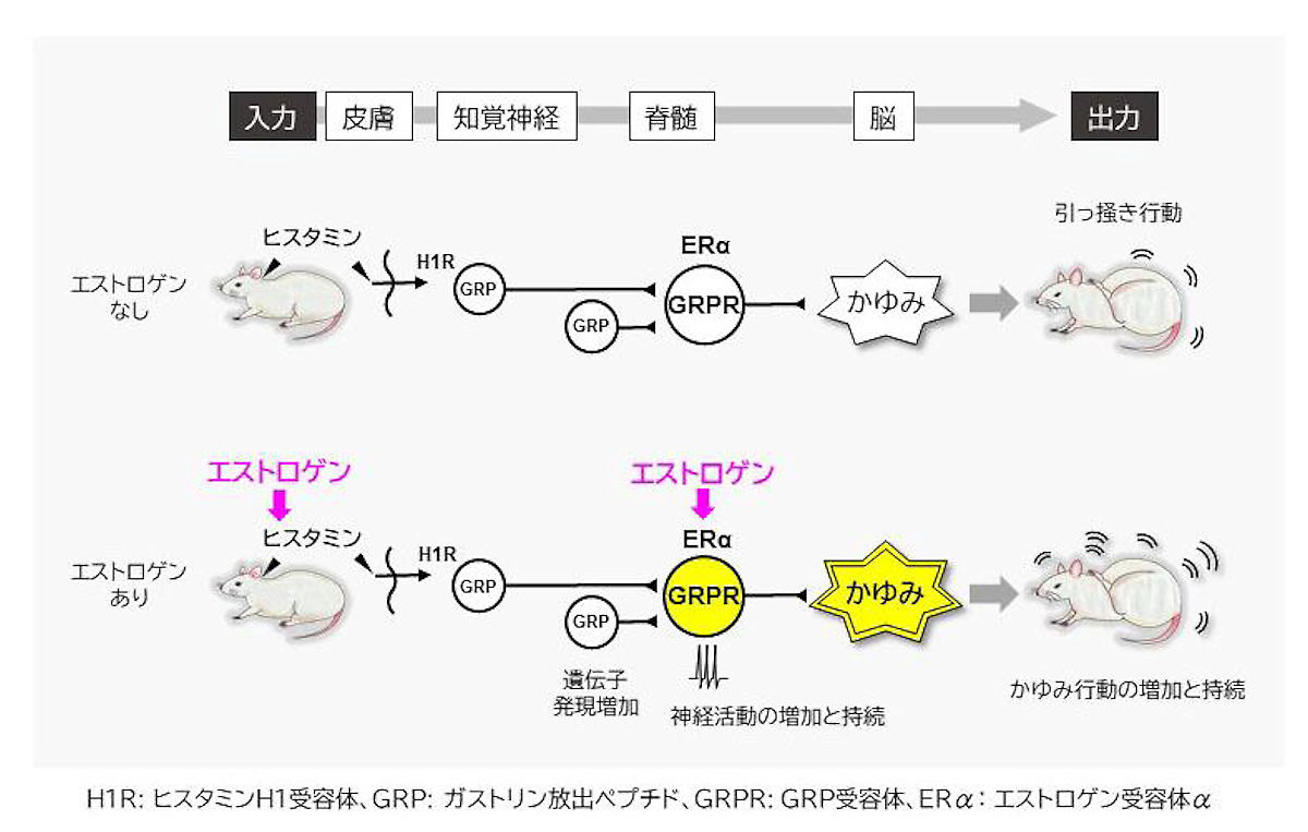 かゆみ