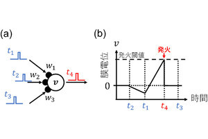 東大、低費電力回路向け「スパイキングニューラルネットワークモデル」を開発