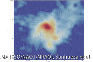 大質量星の形成には磁場よりも重力の方が寄与している、アルマ望遠鏡で判明