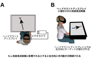 自閉スペクトラム症児は視覚よりも身体感覚を重視する可能性、名大などが確認