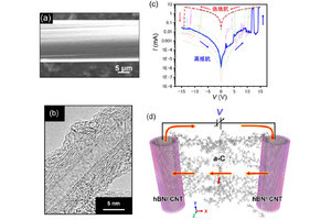 岡山大、CNTとホウ素の合成材料に脳神経回路のような振る舞いを確認