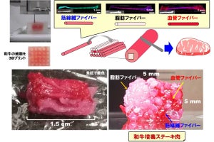阪大など、培養肉で和牛肉も再現できる「3Dプリント金太郎飴技術」を開発