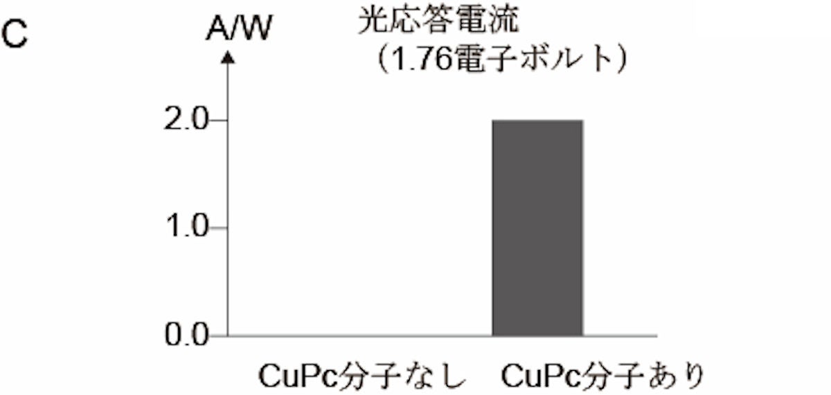 分子センサ