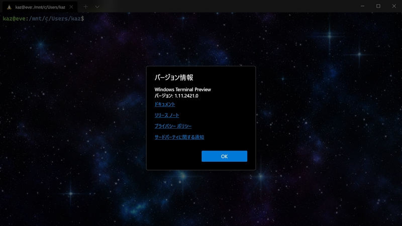 Windows Terminal バージョン1.11.2421.0