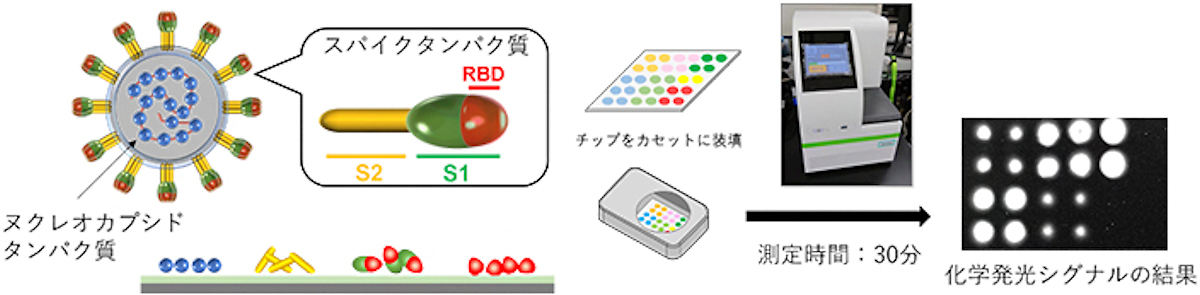 新型コロナ