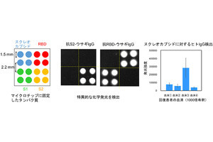 理研、血液中の新型コロナ抗体量の精密測定を30分でできるシステムを開発