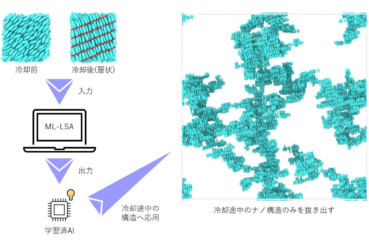 NEDOなど、AIなどを用いて液晶がナノ構造化する際に起こる新現象を発見