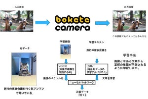 投稿画像にAIがボケるサービス「bokete camera」、電通デジタル開発