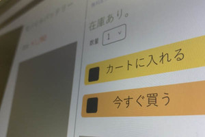 4年後のネット決済代行サービス市場は7000億超に‐デロイトトーマツ調査