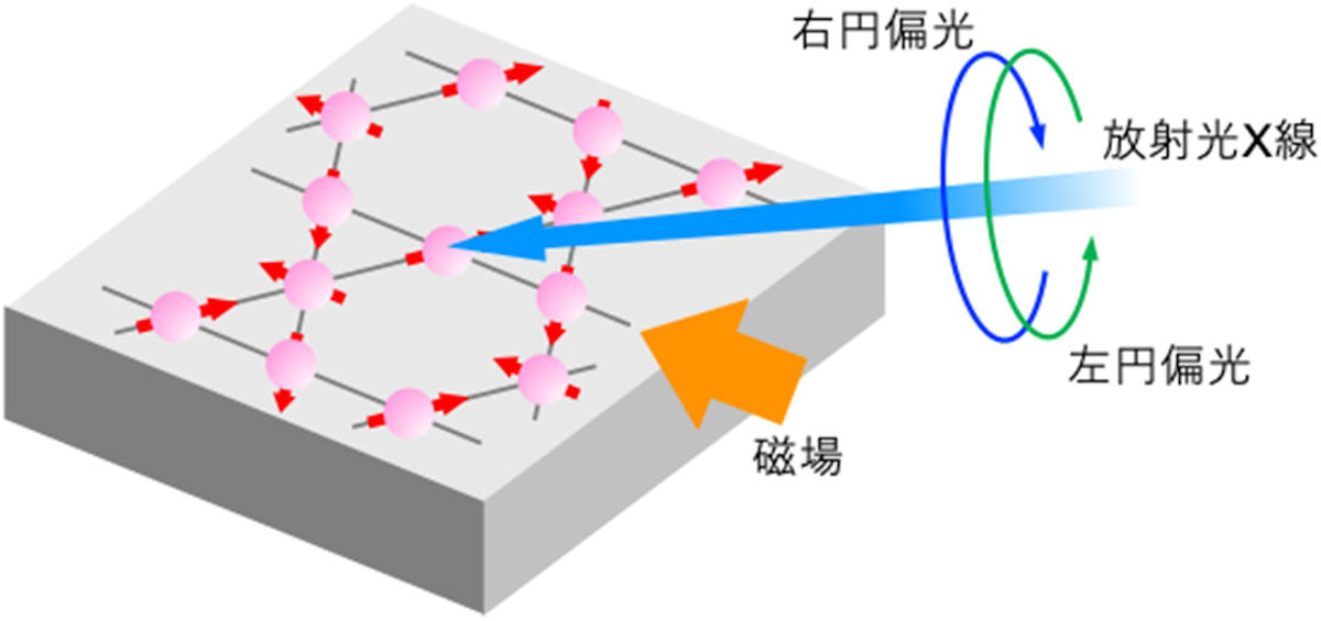 磁気八極子