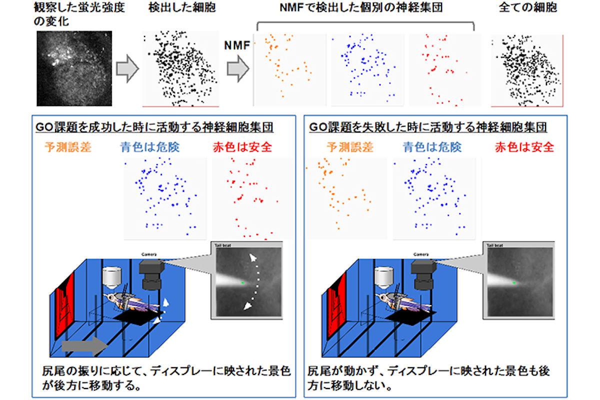 脳科学