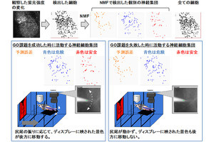 脳は未来予測と現実の誤差を最小化することで危険を回避する、理研が確認