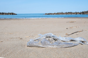 産総研が海洋生分解性プラスチック標準化コンソーシアムを設立、企業を募集