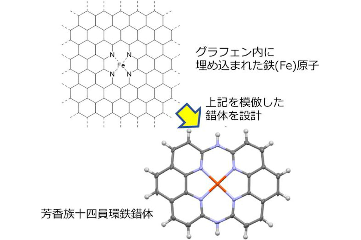 燃料電池