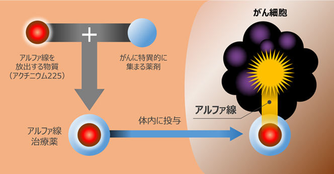  アルファ線内用療法の原理