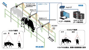 NTTデータ経営研、乳牛管理にローカル5Gを用いたスマート農業実証実験