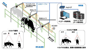 NTTデータ経営研、乳牛管理にローカル5Gを用いたスマート農業実証実験