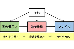 舌がよく動く高齢者は栄養状態もよく身体も元気 - 岡山大が関連性を確認