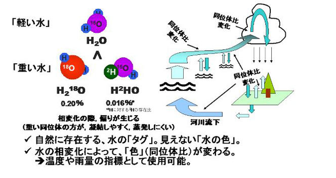 重い水蒸気