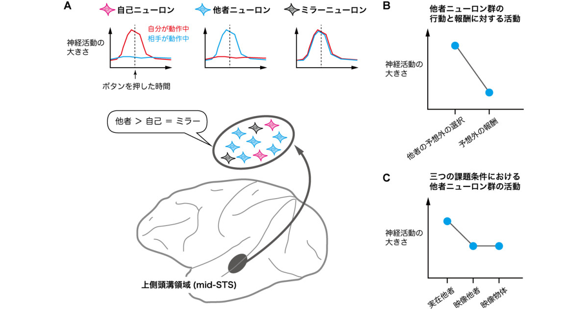 新生理科学大系 11 行動の生理学