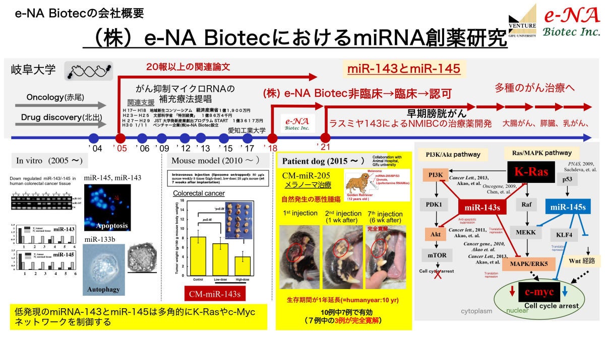 e-NA Biotec